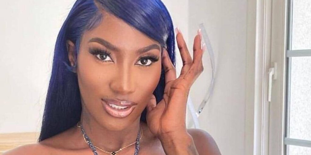 Aya Nakamura provoque un gros bad buzz à cause de ce geste sur TikTok !