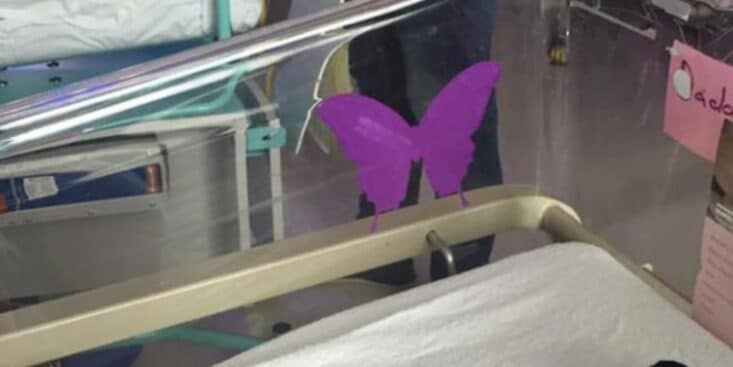 Voici l'affreuse signification du « papillon violet » sur les berceaux à la maternité, c'est trop triste !