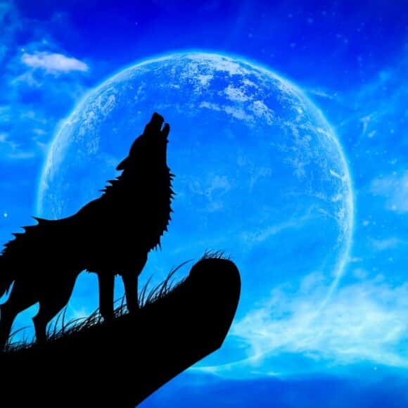 Les effets de la pleine lune du loup sur les signes du zodiaque