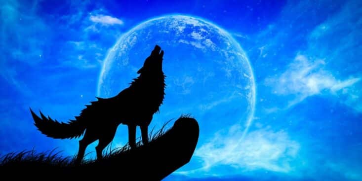 Les effets de la pleine lune du loup sur les signes du zodiaque