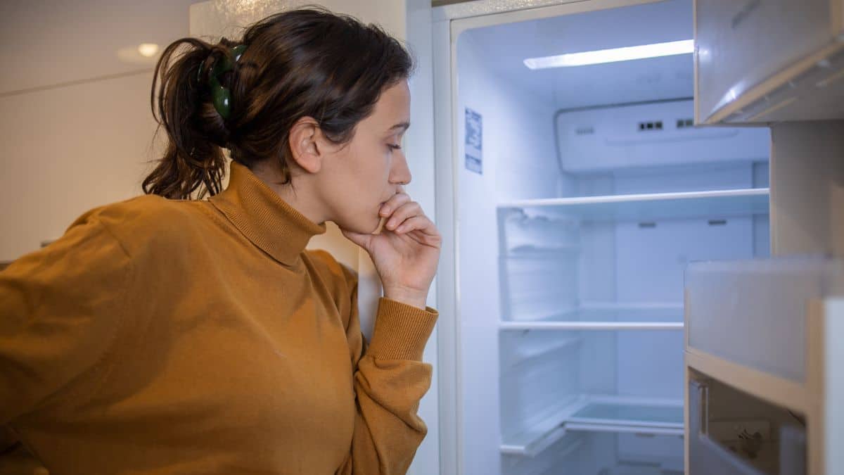Les meilleures astuces pour ne plus avoir de glace dans votre frigo
