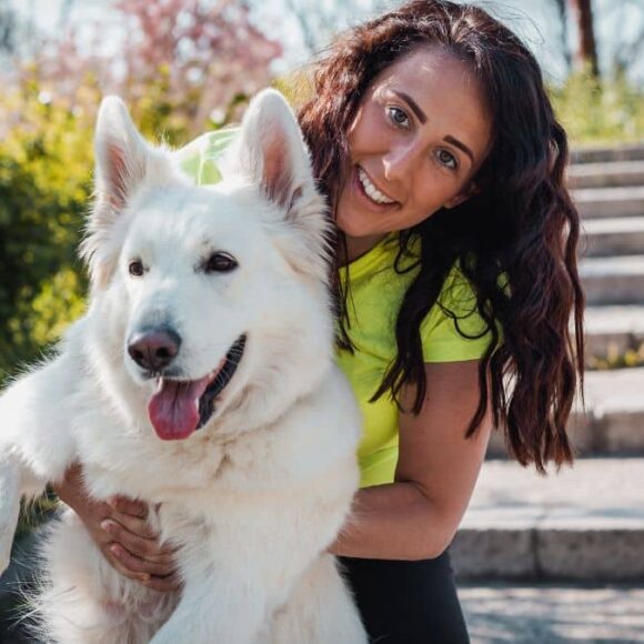 Cette lourde amende pour les propriétaires de chien qui ne respecte pas cette règle cet été