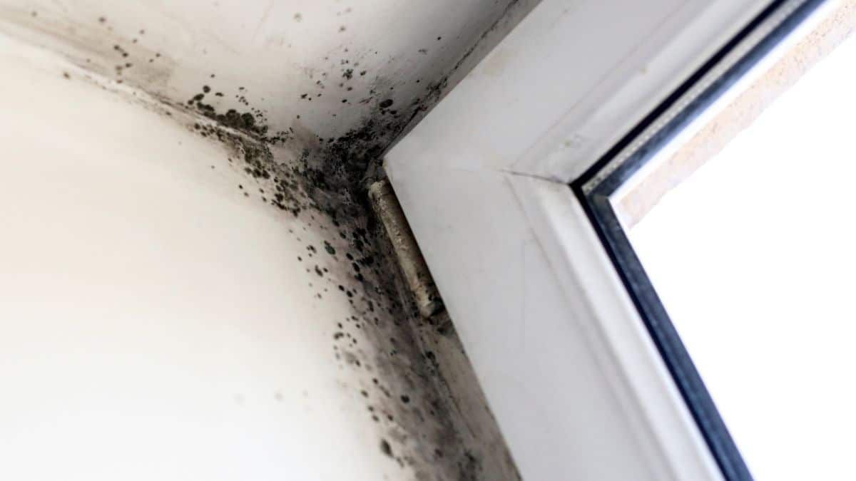 La meilleure astuce pour ne plus avoir de condensation et de