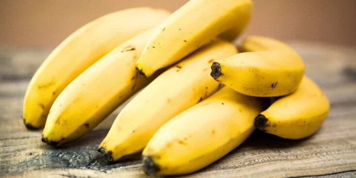 Vos bananes ne vont plus noircir avec cette méthode révolutionnaire découverte par la science