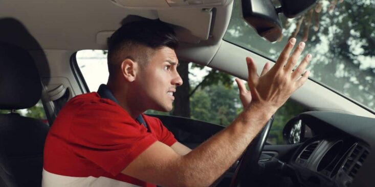 135 euros d’amende pour tous les automobilistes qui ne respectent pas ces nouveaux panneaux en bord de route