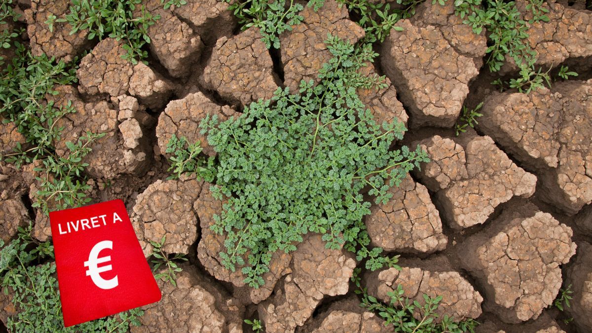 Ce nouveau plan d’épargne avenir climat de ces 2 banques beaucoup mieux que le Livret A