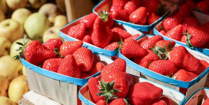 Ces Fraises vendues partout en France sont très contaminées, l'État lance un rappel urgent