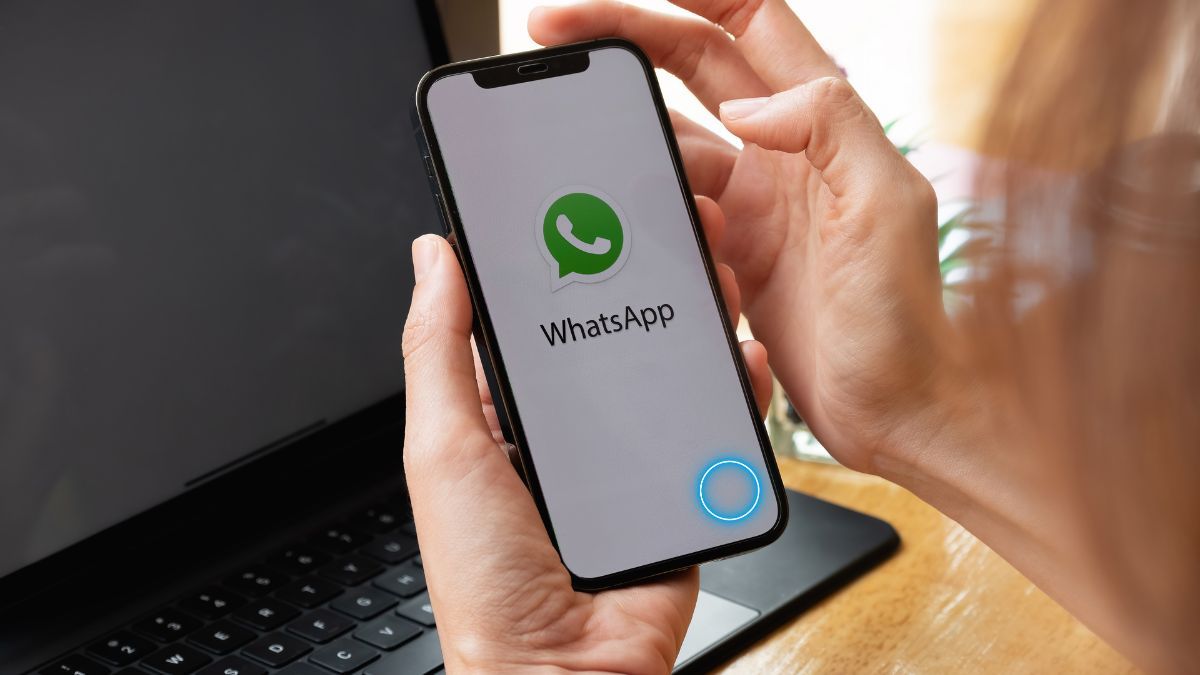 WhatsApp la meilleure technique pour supprimer le nouveau rond bleu et protéger ses données personnelles