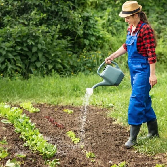 Canicule 2025 : Amendes et restrictions pour l'arrosage de votre jardin