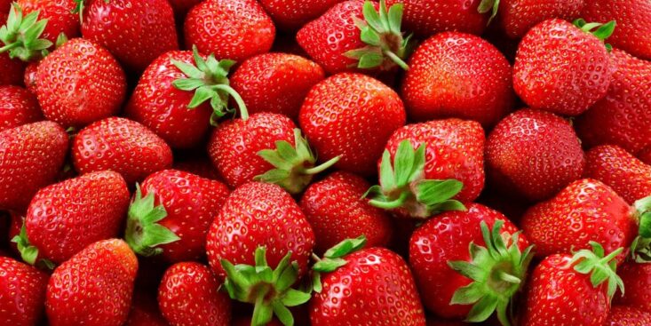 Fraises surgelées chez Leclerc : rappel massif pour excès de pesticides