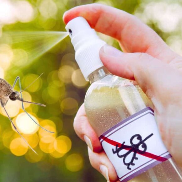 Adieu sprays et bougies : ce laser anti-moustiques change tout pour vos soirées d’été