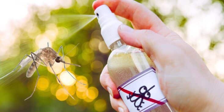 Adieu sprays et bougies : ce laser anti-moustiques change tout pour vos soirées d’été