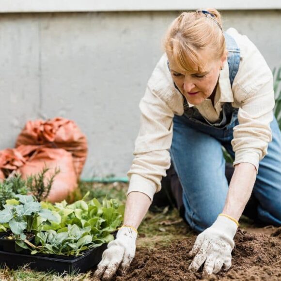 Ces légumes à semer en juillet dans votre jardin pour une récolte abondante en automne