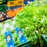 Ces salades en sachet contiennent trop de pesticides, l’astuce des nutritionnistes pour la manger en toute sécurité