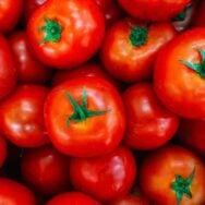 Il m’a fallu 32 ans de ma vie pour découper les tomates sans les écraser: l’astuce simple qui change tout
