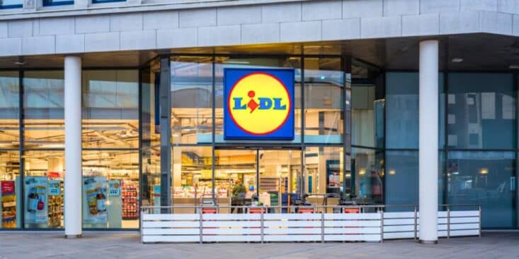 Marre des odeurs de poubelle chez vous ? Lidl lance un appareil révolutionnaire à moins de 40 € pour les neutraliser