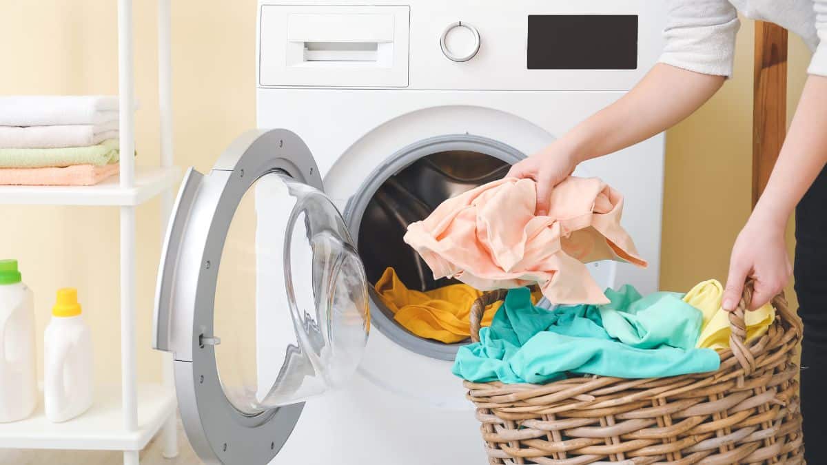 Draps lavés à basse température: pourquoi sentent-ils mauvais après séchage selon la science
