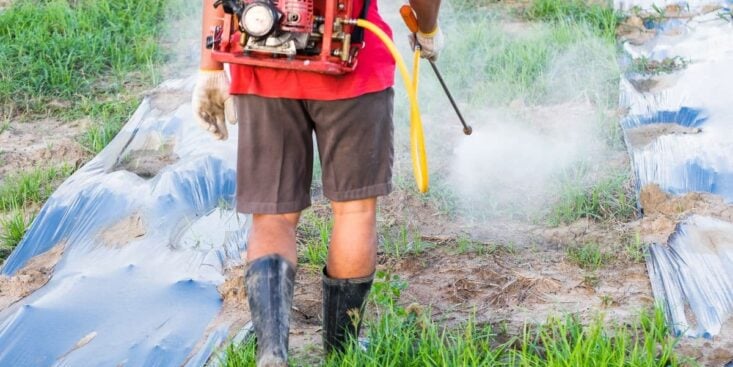 Jardin: la recette de grand-mère pour fabriquer un désherbant maison très puissant et ultra économique