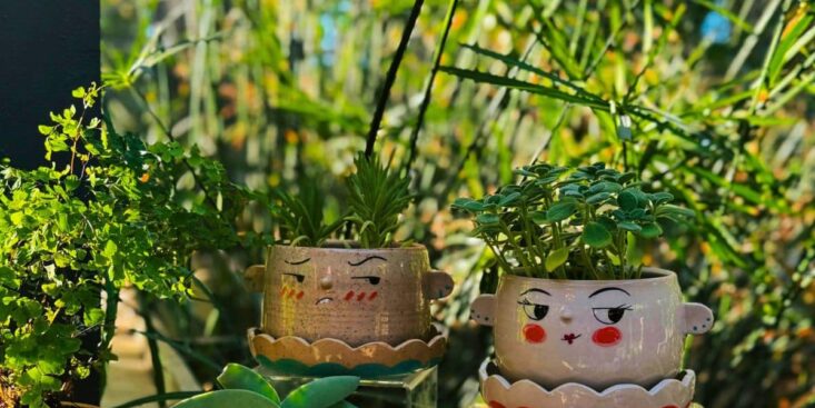 Kiwis : 3 secrets d’horticulteurs pour les faire pousser même là où rien ne prend