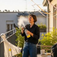 Lepointdujour.fr - Pigeons : l’astuce naturelle sans installation qui les éloigne durablement de la terrasse