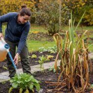 Lepointdujour.fr - Potager en novembre 2025: ce geste tabou augmente les récoltes et réduit les engrais chimiques