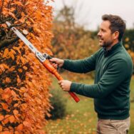 Lepointdujour.fr - Outil LIDL à 19,99 €: taille les branches hautes sans escabeau pour un jardin d’automne plus sûr et plus rapide
