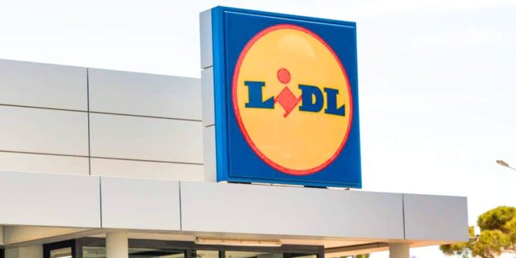 Chariot Lidl: moins de 23 €, soulage le dos et séduit les foyers à l’automne 2025