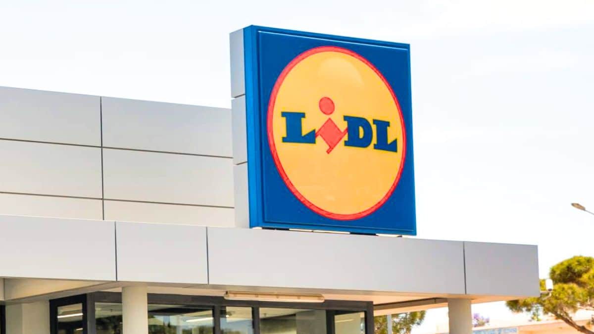 Chariot Lidl: moins de 23 €, soulage le dos et séduit les foyers à l’automne 2025