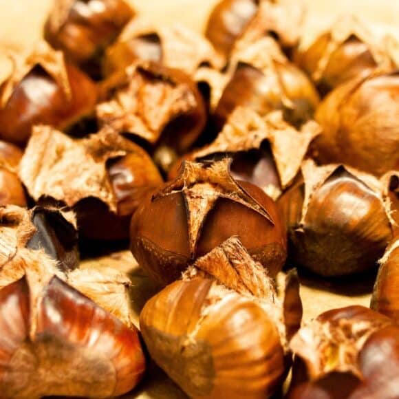 Éplucher les châtaignes : la méthode express pour retirer la peau en 10 secondes