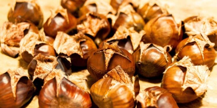 Éplucher les châtaignes : la méthode express pour retirer la peau en 10 secondes