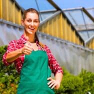 Jardiniers expérimentés: ce qu’ils ajoutent à la terre avant les premières gelées pour un sol fertile au printemps