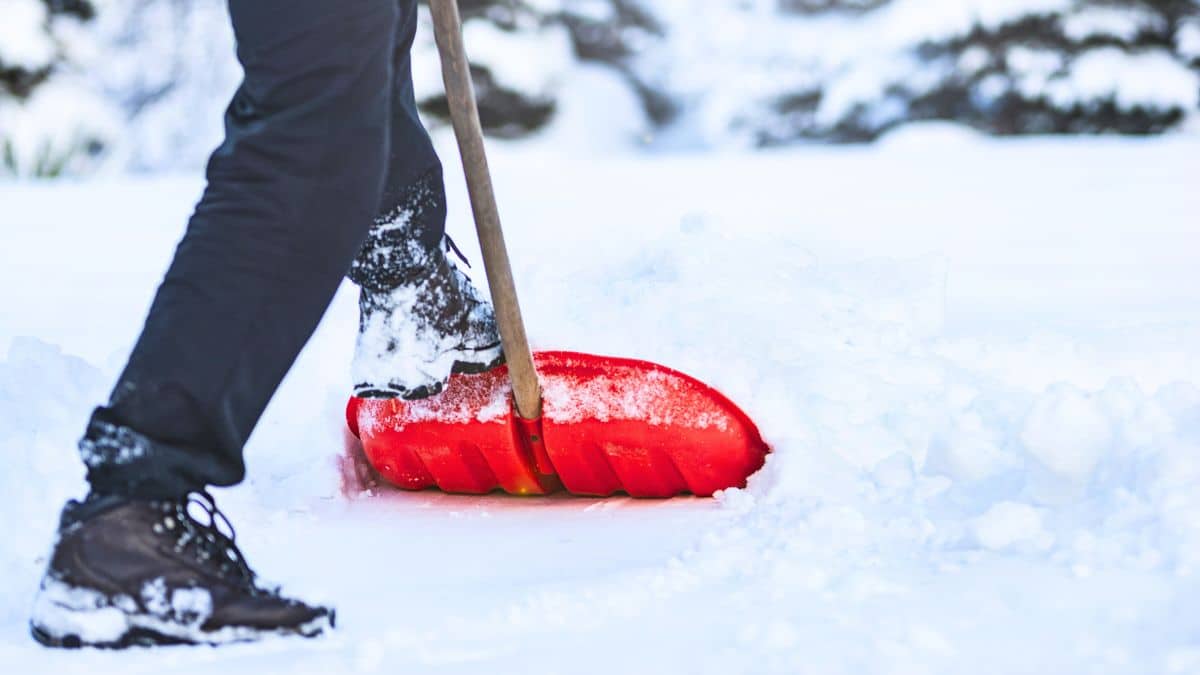 Neige: la technique sans pelle pour dégager l’allée de voiture en 5 minutes cet hiver