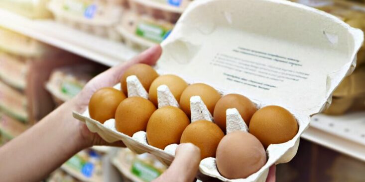 Œufs: rayons souvent vides en supermarché, seuls les plus chers restent