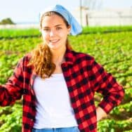 Oseille: 1 indice de maraîcher à repérer pour éviter les récoltes ratées et cueillir des feuilles tendres