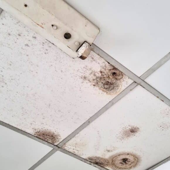 Plafond qui jaunit malgré la peinture: l’erreur que font 8 bricoleurs sur 10