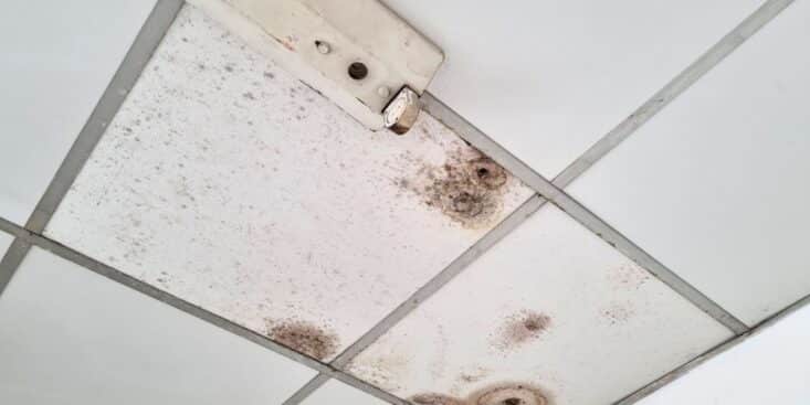 Plafond qui jaunit malgré la peinture: l’erreur que font 8 bricoleurs sur 10