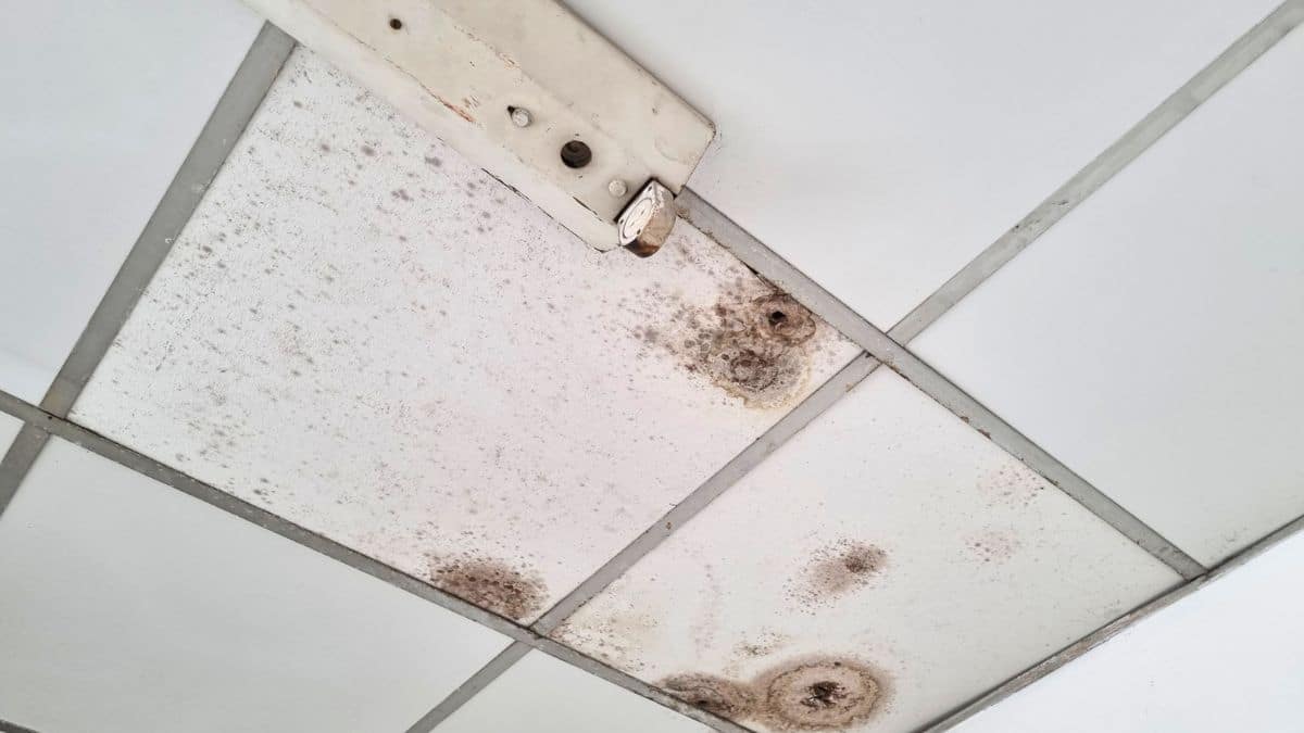 Plafond qui jaunit malgré la peinture: l’erreur que font 8 bricoleurs sur 10