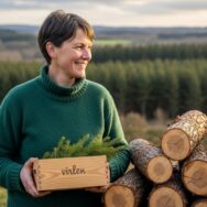 Soonnight - Sapin de Noël: 3 régions fournissent vos sapins en France, l’Alsace recule