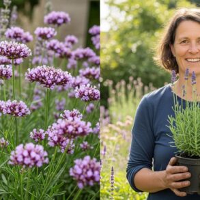 Soonnight - Fleurs de jardin : 3 espèces discrètes qui attirent les chardonnerets et boostent la biodiversité