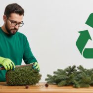 Soonnight - Sapin de Noël : recyclez-le en paillage, broyat et protection contre le gel au potager tout l’hiver
