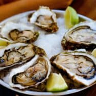 Assiettes à huîtres vintage : le détail qui fait flamber les prix à Noël 2025 et comment les chiner sans se faire piéger