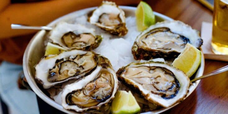 Assiettes à huîtres vintage : le détail qui fait flamber les prix à Noël 2025 et comment les chiner sans se faire piéger