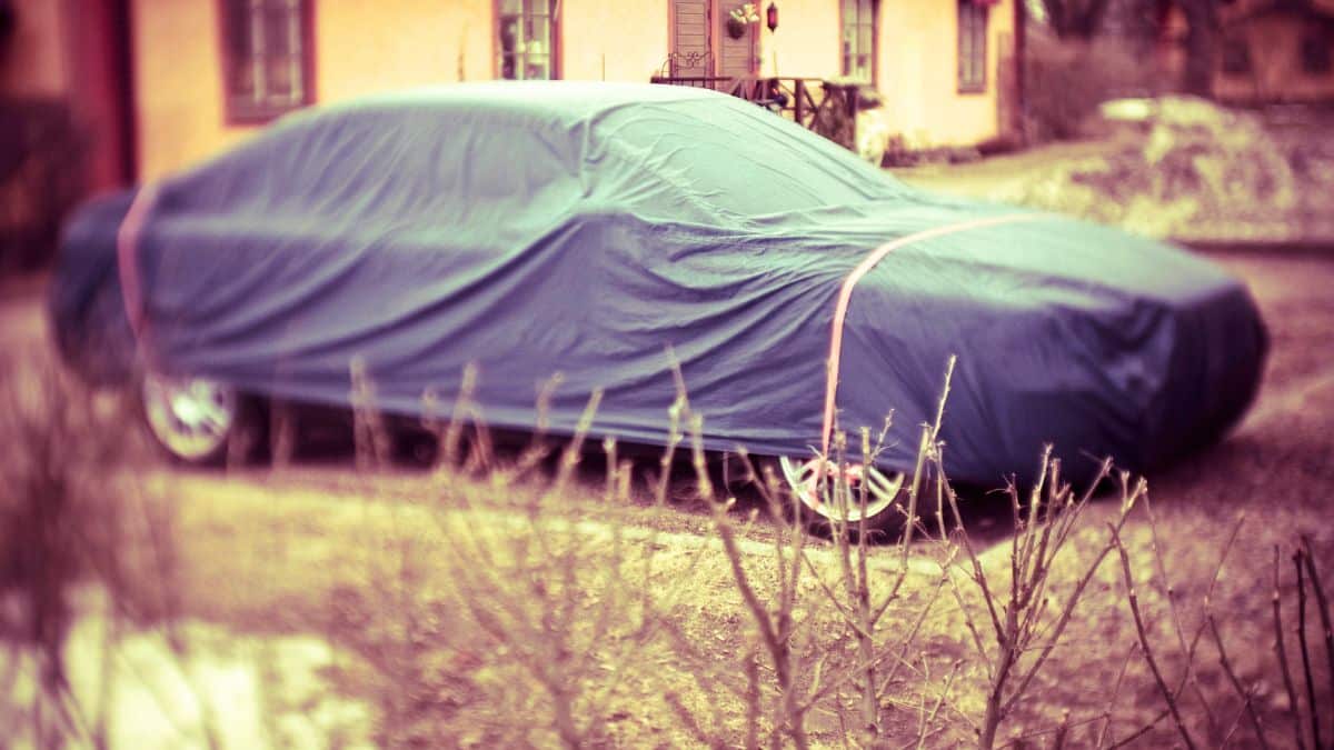 Housse de protection Lidl à 12,99 € évite le grattage du pare-brise chaque matin cet hiver