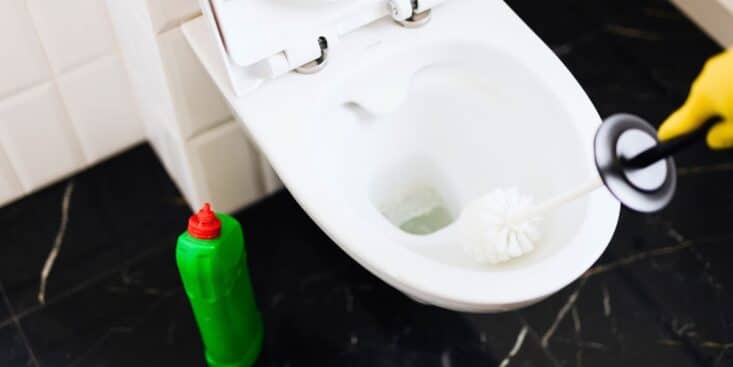 Javel : arrêtez-la pour les toilettes, cette astuce enlève les traces marron et blanchit la cuvette en une nuit