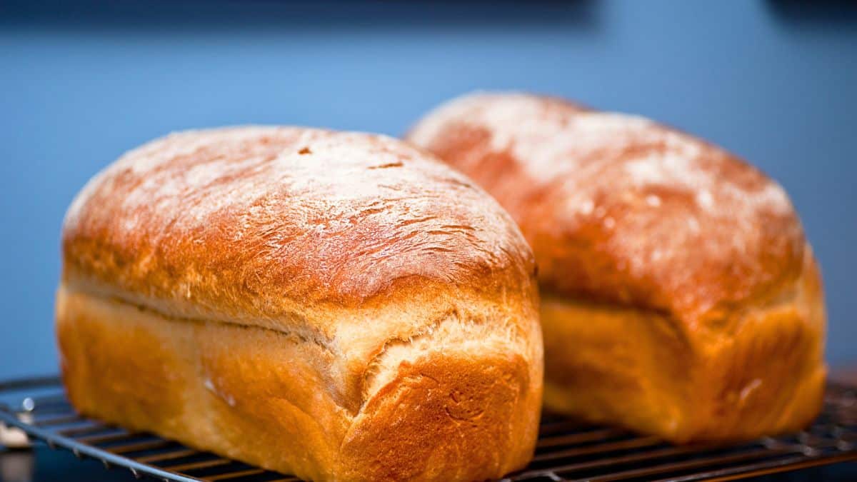 Pain maison sans four: méthode simple pour un pain croustillant en novembre grâce à un geste clé