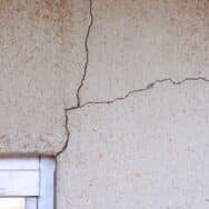 Plantes tendance près de la maison: leurs racines accentuent le risque de fissures invisibles en hiver 2025-2026