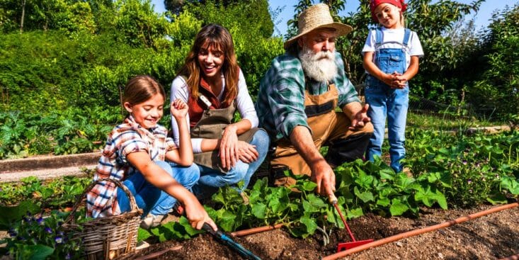 Tuile sombre au potager : protège les semis, garde l’humidité et attire les auxiliaires dès le printemps