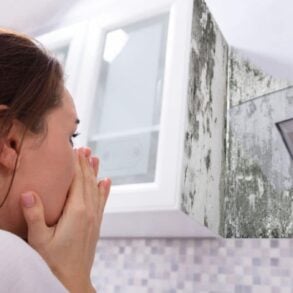 Odeur de moisi dans la salle de bains : un objet à moins de 40 centimes l’élimine facilement