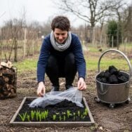 Soonnight - Potager: la cendre de cheminée gratuite booste les récoltes et dépasse les engrais industriels en hiver