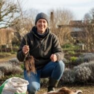 Soonnight - Arbre fruitier méconnu: planté en janvier, il donne des kilos de fruits en moins de 2 ans